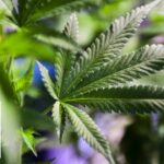 1771178637 maxresdefault.jpg