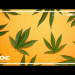 1771308547 hqdefault.jpg