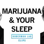 1772044059 maxresdefault.jpg