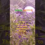 1772303552 maxresdefault.jpg