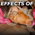 This is what thc does to the body.jpg