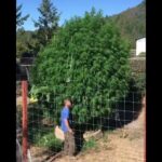 1772469594 maxresdefault.jpg