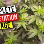 1772650377 maxresdefault.jpg