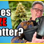 1772729159 maxresdefault.jpg