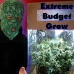 1772953434 maxresdefault.jpg