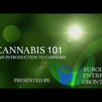 1773342713 hqdefault.jpg