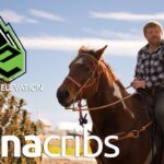 1773378210 maxresdefault.jpg