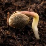 1773385436 maxresdefault.jpg