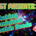 1773904614 maxresdefault.jpg