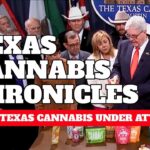 1774683740 maxresdefault.jpg