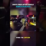 Driver attempts flee after marijuana discovery.jpg