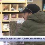 Michigan marijuana sales drop steeply in january amid new tax.jpg