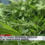 Renewing medical marijuana cards could get easier.jpg
