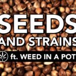 1775505547 maxresdefault.jpg