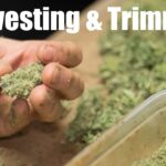 1775584739 maxresdefault.jpg