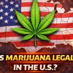 1776284757 maxresdefault.jpg