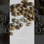 1776543956 maxresdefault.jpg