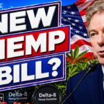 1776544385 maxresdefault.jpg