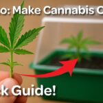 1776847616 maxresdefault.jpg