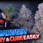 1777142164 maxresdefault.jpg