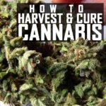 1777185444 maxresdefault.jpg