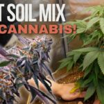 1777228677 maxresdefault.jpg