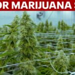 1777366603 maxresdefault.jpg