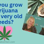 1777409222 maxresdefault.jpg