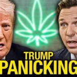 1777409910 maxresdefault.jpg