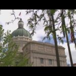 1777453194 hqdefault.jpg