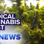 Inside was top secret medical cannabis facility nine news.jpg