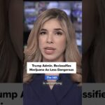 Medical marijuana reclassified as less dangerous drug under new federal.jpg