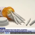 Trump reclassifies medical marijuana as less dangerous drug.jpg