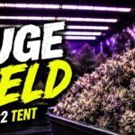 1778440126 maxresdefault.jpg