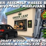 Firearms form would remove medical marijuana warning for gun buyers.jpg