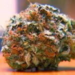 Tsa allows medical marijuana through airport security but florida laws.jpg