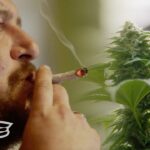 Why marijuana could help save veteran lives weediquette.jpg