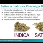 Medical cannabis and anxiety.jpg