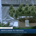 Thousands apply for medical marijuana cards in virginia.jpg