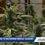 Five alabama physicians now certified to recommend medical cannabis to.jpg