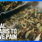 Medical cannabis breakthrough 10 news first.jpg