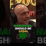 1790476558 maxresdefault.jpg