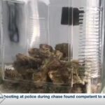 Federal reclassification of medical marijuana opens door to expanded access.jpg